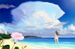  akio-bako beach bikini clouds flowers long_hair original scenic sky summer swimsuit water 