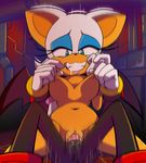  blue_eyes breasts erect_nipples female furry gloves hecticarts hedgehog large_breasts male nipples nude penetration penis pussy rouge_the_bat sex shadow_the_hedgehog solo_focus sonic_the_hedgehog testicles vaginal 