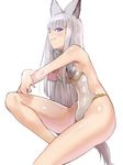  animal_ears ass bad_source blue_eyes bowcan breasts covered_navel covered_nipples erune granblue_fantasy korwa leotard long_hair looking_at_viewer silver_hair simple_background small_breasts smile solo white_background 