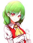 ascot green_hair highres juliet_sleeves kazami_yuuka long_sleeves looking_at_viewer puffy_sleeves red_eyes red_vest rie-co simple_background smile solo sparkling_eyes touhou umbrella vest white_background wing_collar 