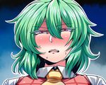  angry ascot blush dress green_hair kazami_yuuka looking_at_viewer open_mouth portrait red_dress red_eyes shirt solo sweat touhou tsuki_wani tsurime 