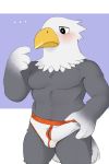  animal_crossing anthro anthrofied apollo_(animal_crossing) avian bald_eagle beak bird black_eyes blush briefs clothed clothing cum_stained eagle erection feathers grey_feathers male muscular naughtycactus nintendo penis precum simple_background topless underwear video_games white_feathers yellow_beak 