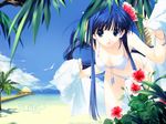  kusakabe_yuki nakamura_takeshi swimsuit tagme to_heart_2 