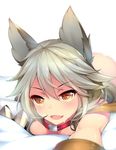  animal_ears bangs blush claw_(weapon) collar dean dripping erune eyebrows eyebrows_visible_through_hair fang granblue_fantasy hair_between_eyes heart heart-shaped_pupils highres long_hair looking_at_viewer lying nude on_bed on_stomach open_mouth orange_eyes sen_(granblue_fantasy) silver_hair simple_background smile solo symbol-shaped_pupils weapon white_background 