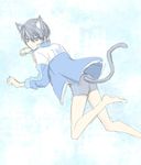  1boy cat_ears cat_tail high_speed! male_focus nanase_haruka_(free!) yuzuru_ru_ru 