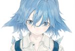  blue_eyes blue_hair cirno commentary face ice ice_wings looking_at_viewer portrait shirt short_hair simple_background smile solo touhou vest white_background wings yushika 
