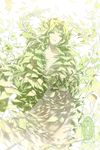  cardcaptor_sakura clow_card dress eyebrows eyebrows_visible_through_hair facial_mark forehead_mark green green_eyes highres leaf light_particles light_smile long_hair looking_at_viewer parted_lips plant shade solo very_long_hair vines wavy_hair white_background winni wood_(clow_card) 