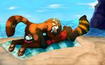  2016 4_toes 5_fingers 69_position anthro balls beach cum cum_in_mouth cum_inside duo erection eyes_closed eyewear fellatio fur goggles male male/male mammal multicolored_fur nude oral orgasm penis raised_tail red_panda seaside sex toes water yosha 