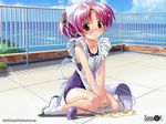  aoi_umi_no_tristia clumsy komatsu_eiji school_swimsuit soft_beauty swimsuit 