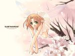  club_maniax elf fairy flowers mangazoo maniax naruse_chisato soft_beauty wings 