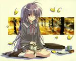  animal antenna_hair bag blush can cat cat_on_lap ginkgo iriya_kana iriya_no_sora_ufo_no_natsu kurashima_tomoyasu leaf long_hair long_sleeves low-tied_long_hair petting pink_eyes plate pleated_skirt purple_hair school_bag school_briefcase school_uniform sitting sitting_on_lap sitting_on_person skirt smile socks solo tree very_long_hair wallpaper wariza 