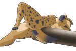  absurd_res anthro butt female fur genitals hi_res hyaenid jhenightfox mammal nude pussy simple_background solo spots spotted_body spotted_fur white_background 