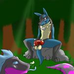  anthro blue_eyes blush canine cum duo forest grin hi_res knot kotetsu_rexen lionel lucario male mammal nintendo penis pok&eacute;mon presenting spread_legs spreading tree video_games 