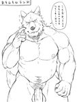  abs anthro balls canine erection japanese_text looking_at_viewer male mammal monochrome muscular nude pecs penis simple_background solo tamura_kazumasa text white_background 