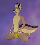  2016 5_fingers anthro black_fur black_nose blue_tongue boblios briefs brown_fur bulge canine clothed clothing featureless_chest fur green_eyes hand_on_hip hi_res kneeling licking licking_lips looking_at_viewer male mammal multicolored_fur multicolored_tail pose sitting solo spread_legs spreading teeth tongue tongue_out topless underwear 