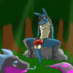  anthro blue_eyes duo forest grin hi_res knot kotetsu_rexen lionel lucario male nintendo penis pok&eacute;mon presenting spread_legs spreading tree video_games 