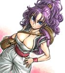  amania_orz backpack bag blue_eyes breasts cleavage curly_hair dragon_quest dragon_quest_iii hair_between_eyes large_breasts long_hair merchant_(dq3) purple_hair smile solo 