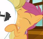  2016 anal blargsnarf bulk_biceps_(mlp) butt close-up equine friendship_is_magic horse mammal my_little_pony oral pegasus pony rimming saliva scootaloo_(mlp) sex wings 