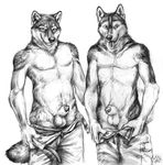  animal_genitalia anthor balls blotch canine dog duo fur husky male male/male mammal sheath 