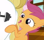  2016 anal blargsnarf bulk_biceps_(mlp) butt close-up equine friendship_is_magic horse mammal my_little_pony oral pegasus pony rimming saliva scootaloo_(mlp) sex smile wings 