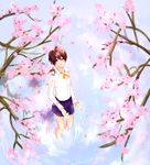  bokura_wa_minna_kawaisou cherry_blossom_tree kawai_ritsu seifuku tagme 