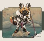  2016 african_wild_dog anthro black_fur black_nose blue_eyes brown_fur canine claws clothed clothing creek crouching digital_media_(artwork) drinking ear_piercing forest front_view full-length_portrait fur hindpaw inner_ear_fluff jewelry loincloth looking_at_viewer male mammal melee_weapon multicolored_fur nature necklace outside p-sebae_(artist) paws piercing polearm portrait rock signature solo spear toe_claws topless tree tribal utunu water weapon whiskers white_fur 