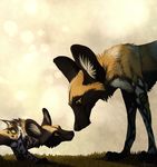  african_wild_dog aseethe awd canine cape_dog child cub cute feral hi_res mammal mother parent realistic simple_background young 