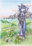  2013 anthro black_fur black_nose blue_eyes blue_fur breasts canine clothed clothing cloud day female fox fur grass hi_res krystal mammal mancoin mountain nintendo outside raised_leg river sky solo star_fox tight_clothing traditional_media_(artwork) video_games water white_fur 