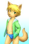  blonde_hair brown_fur canine clothing cub fox fur gradient_background green_eyes hair male mammal sfh simple_background solo swimsuit young 
