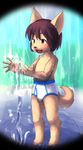  amber_eyes anthro brown_fur brown_hair canine clothed clothing cub digitigrade dog fur hair male mammal sfh solo topless water young 