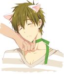  1boy cat_ears free! funikurikurara male_focus tachibana_makoto 