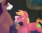  animal_genitalia animal_penis balls big_macintosh_(mlp) duo equine equine_penis friendship_is_magic horse licking male male/male mammal my_little_pony oral peachy-pudding penis penis_lick sex tongue tongue_out troubleshoes_(mlp) 