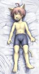  anthro cat clothed clothing cub feline male mammal plantigrade sfh sleeping solo topless young 