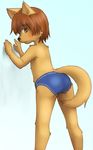  amber_eyes anthro brown_fur brown_hair canine clothing cub fox fur gradient_background hair male mammal sfh simple_background solo swimsuit young 