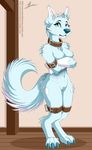  anthro breasts canine colarix colarix_(fursona) collar crossed_arms dog featureless_crotch female hi_res husky inner_ear_fluff inside mammal navel nude solo standing wide_hips 
