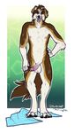  anthro balls canine collie dog erection fangs humanoid_penis looking_at_viewer male mammal nipples nude open_mouth penis rokemi smile solo standing teeth tongue tongue_out wet 
