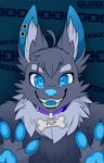  anthro canine colarix collar ear_piercing fangs hi_res inner_ear_fluff looking_at_viewer male mammal open_mouth piercing simple_background smile solo teeth tongue 