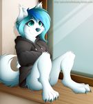  anthro bottomless canine clothed clothing colarix female fur hi_res inside mammal sitting smile solo white_fur wolf 