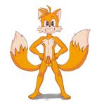  anthro armpit_hair balls canine cum erection fox fur male mammal miles_prower nude penis phallusfantasy solo_focus sonic_(series) young 