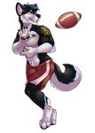  athletic canine clothing dog fcsimba football_(disambiguation) husky mahler male mammal muscular shorts 