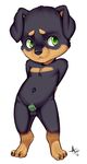  anthro aogami balls canine chastity chastity_cage cub dog male mammal rottweiler solo young 
