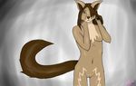  2016 anthro breasts canine digital_media_(artwork) felanda female fur hair looking_at_viewer mammal navel nude pussy simple_background smile solo tailsoft 