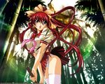  forest gotou_keiji mitsurugi_ryouko nature panties real_bout_high_school school_uniform solo thighhighs underwear wallpaper 