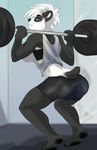  anthro bear bulge butt clothed clothing dickgirl exercise half-closed_eyes intersex kittentits looking_at_viewer looking_back mammal panda smile solo teeth weightlifting workout 