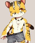  4_fingers anthro boxers_(clothing) brown_eyes brown_fur bulge chest_tuft clothing cub feline fur grey_background male mammal pink_nose raier simple_background solo standing tiger tuft underwear unrealplace white_fur yellow_fur young 