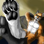  anthro athletic balls bed biceps black_nose blaker butt canine fox fur looking_at_viewer male mammal muscular nude on_bed pawpads paws simple_background solo white_fur 