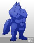  2016 4_toes animal_genitalia animal_penis anthro balls belly biceps big_balls big_belly blue_eyes blue_fur blue_nose blue_penis canine canine_penis claws crossed_arms digital_media_(artwork) eyewear front_view fur glasses hi_res huge_balls looking_at_viewer male mammal musclegut muscular muscular_male nude pecs penis penis_tip sheath simple_background skaifox solo standing toe_claws toes watermark wolf 