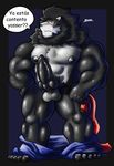  annoyed anthro balls bear black_fur black_penis canine clothed clothing feline fur haku knot lion male mammal muscular nipples nude pants_down partially_clothed penis solo spanish_text speech_bubble text yasserlionbear 
