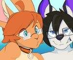  anthro black_fur blue_eyes collar digital_media_(artwork) eyewear fur girly glasses hair hi_res kai_yun-jun lagomorph long_ears male male/male mammal orange_fur orange_hair pozy purple_fur rabbit short_hair smile teeth unknown white_fur yellow_fur 