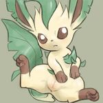  :&lt; canine censored cub eeveelution female feral leafeon mammal nintendo paws pok&eacute;mon presenting pussy simple_background solo spread_legs spreading video_games youjomodoki young 